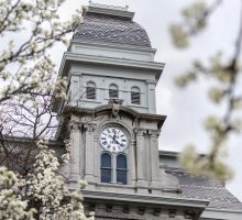 White flowering trees in front of the Hall of Languages bloom and frame the clock tower.